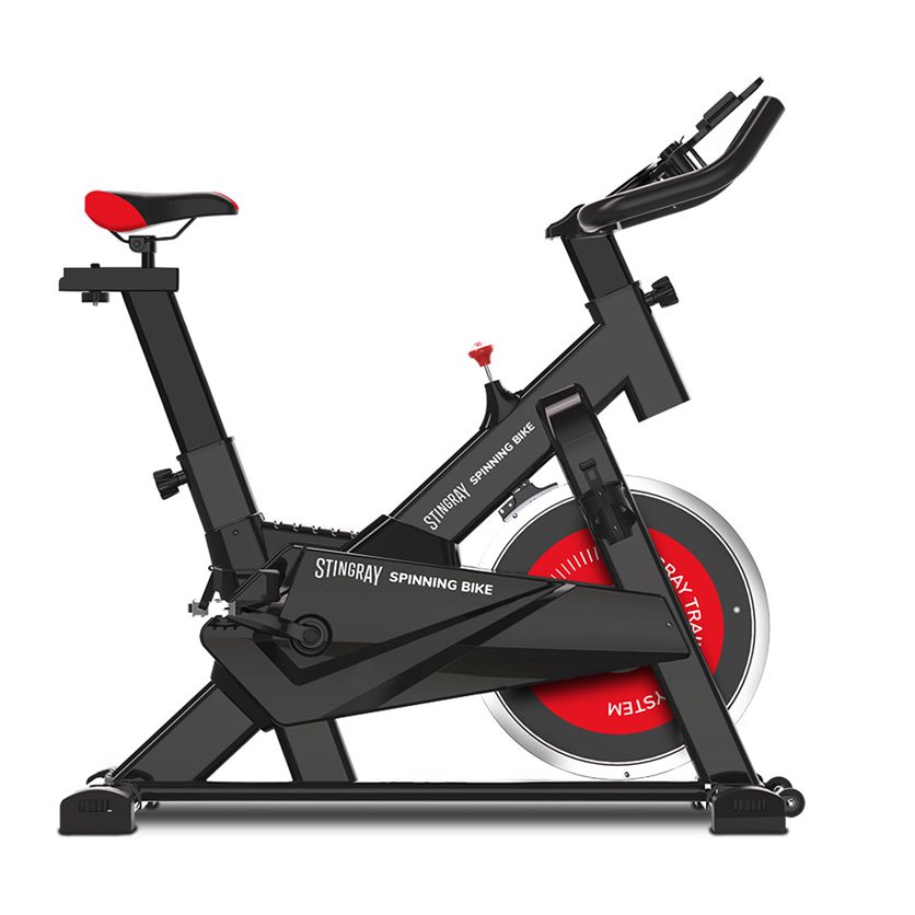 Spinning Bike - Stingray 10KG