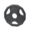 Olympic Iron Weight Plate 25 Lbs.