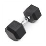 Coated Hex Dumbbell 45 Lbs.