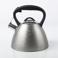 Mr. Coffee Carterton Stainless Steel Whistling Tea Kettle, 1.5-Quart,  Mirror Polish