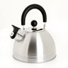 Carterton 1.5 Qt Whistling Tea Kettle - Mirror Polished - Nylon Handle - Stainless Steel