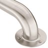 Stainless steel grab bar