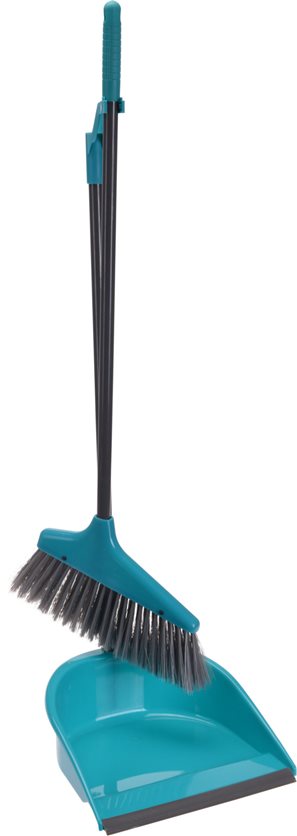 Broom & Dustpan With Long Handle