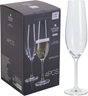 Champagne Glass - 4Pcs