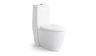 YEKALON Toilet Washdown - T-M8312P