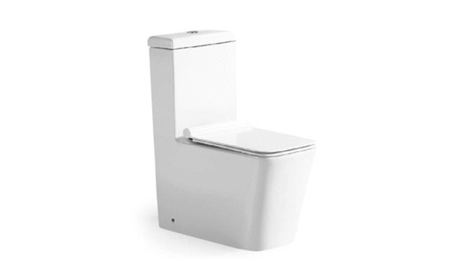 Toilet Washdown 1PC TRX8834P WH