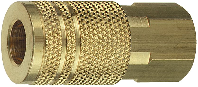 Push-to-Connect 1/4 In. Female Coupler