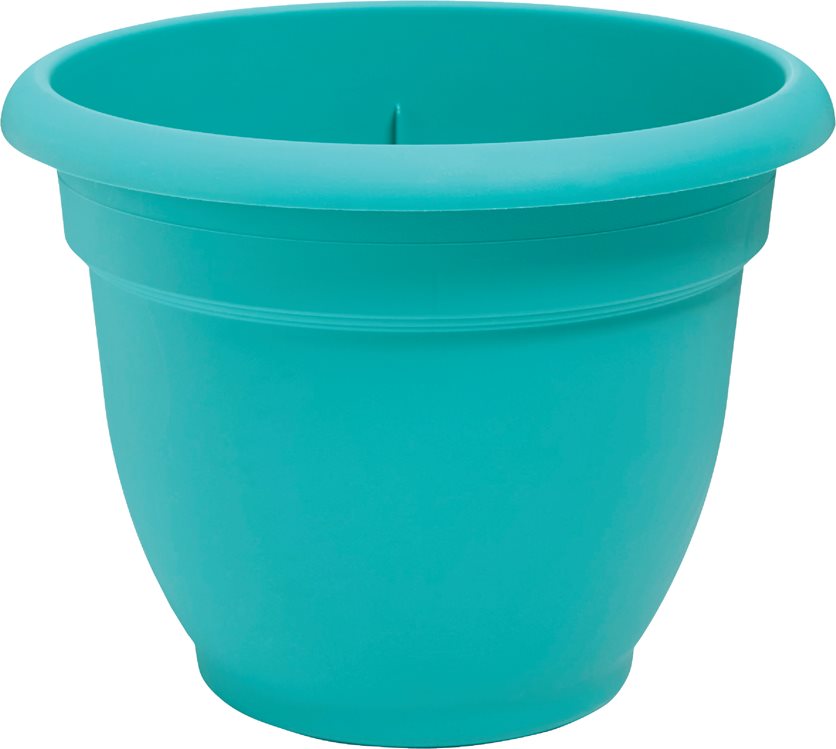 12 Brm Teal Ariana Pot