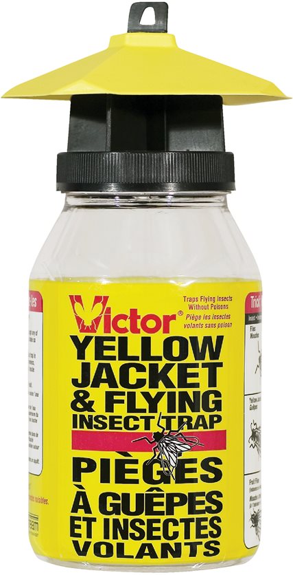 Yelow Jacket Insect Trap