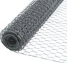 1X20 24X10' Poultry Net - Ideal for gardens and sidewalks.