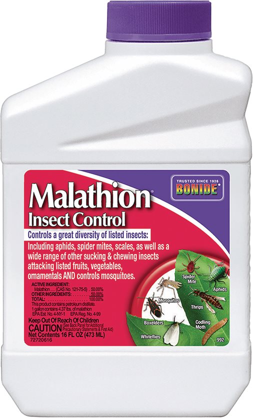 Pt Conc Malathion Spray - 1 Pt.